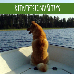 button_kiinteistonvalitys